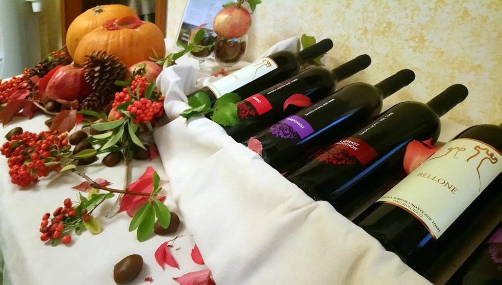 Aurelia Residence San Pietro Aparthotel Rom Eksteriør billede